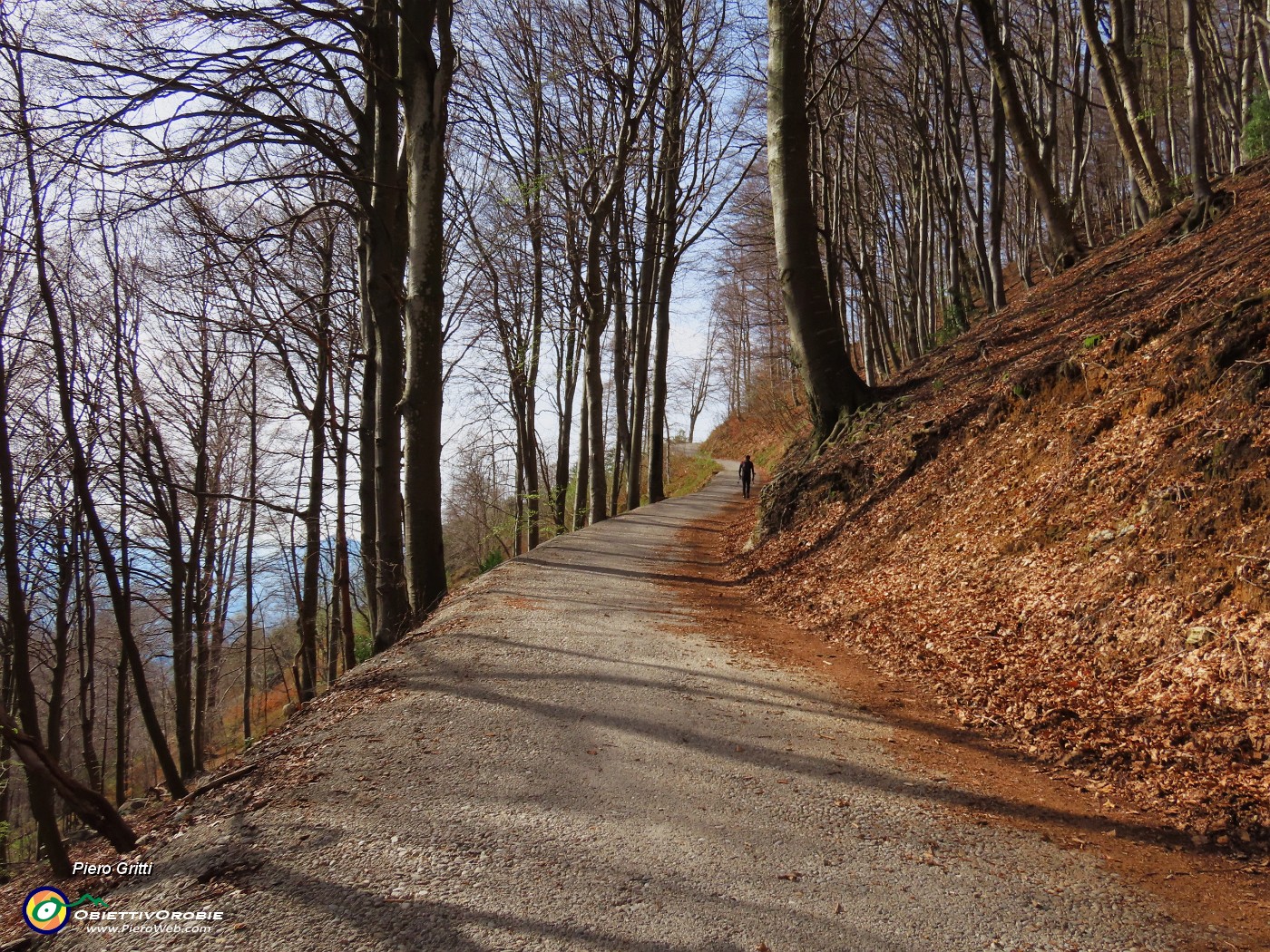 07 Sulla strada agrosilvopastotale per sent. 578.JPG